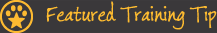 Featured Training Tip