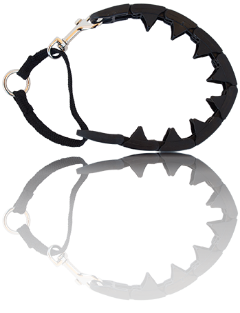 Pro-Training COLLAR<span>®</span>