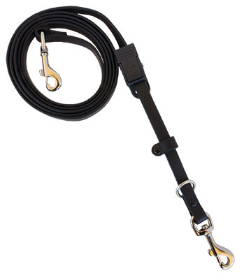 Pro-Training Hands-Free LEASH