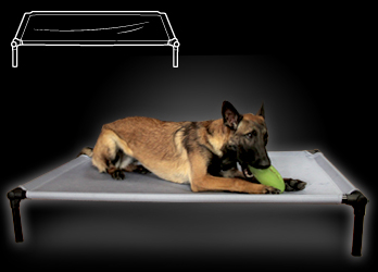 Dog Zone Pro-Training BED