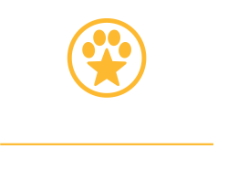 starmark groovy ball